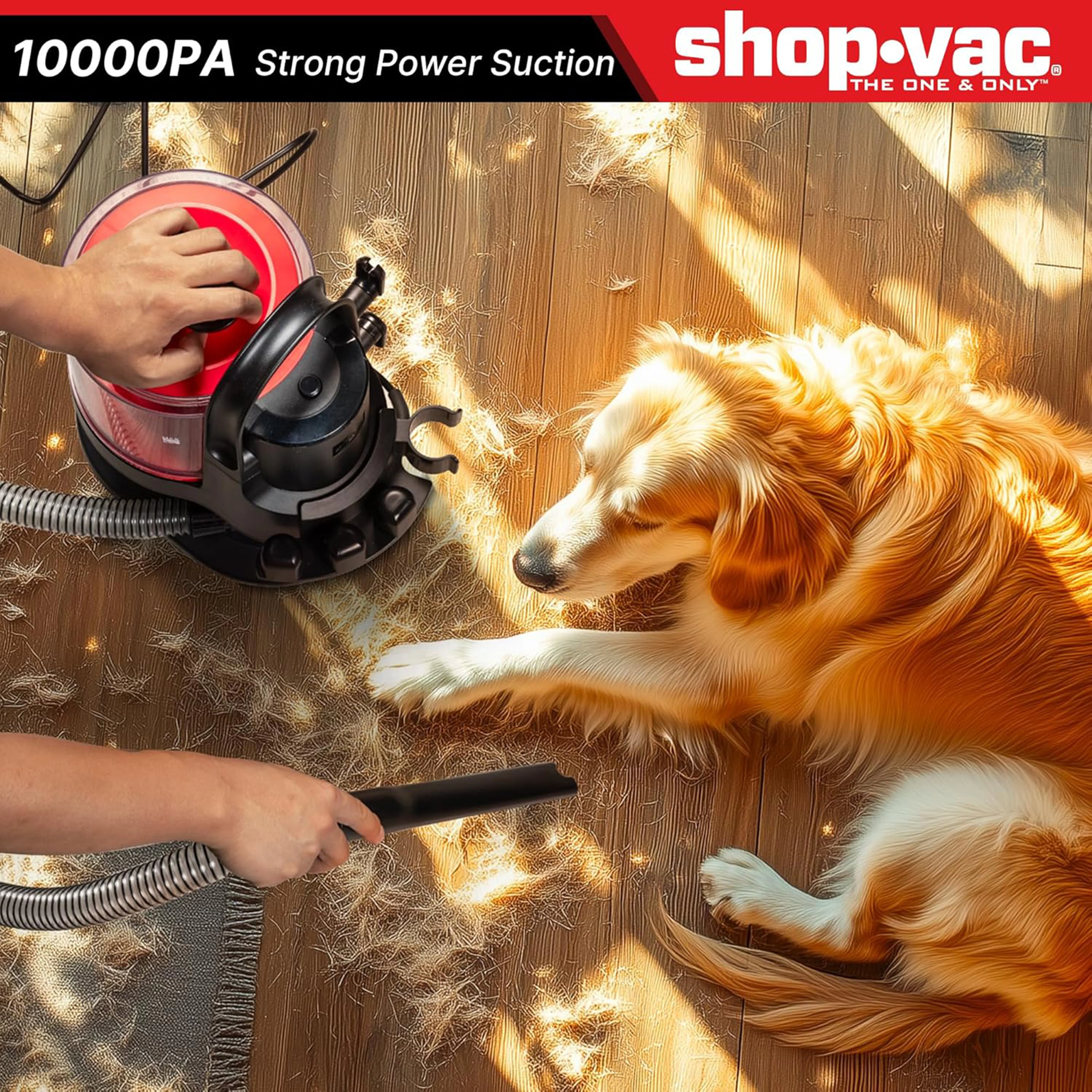 Shop-Vac® 4-in-1 Pet Grooming & Vacuum 6 Shop-Vac® 4-in-1 Pet Grooming & Vacuum